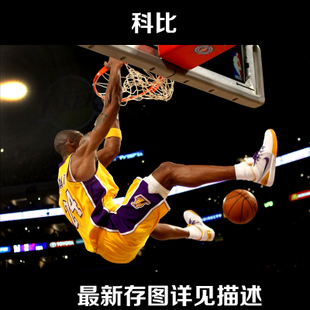 布朗斯维分校Accounting Diploma